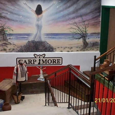 ביוגראד נה מורו Hotel Carpymore מראה חיצוני תמונה